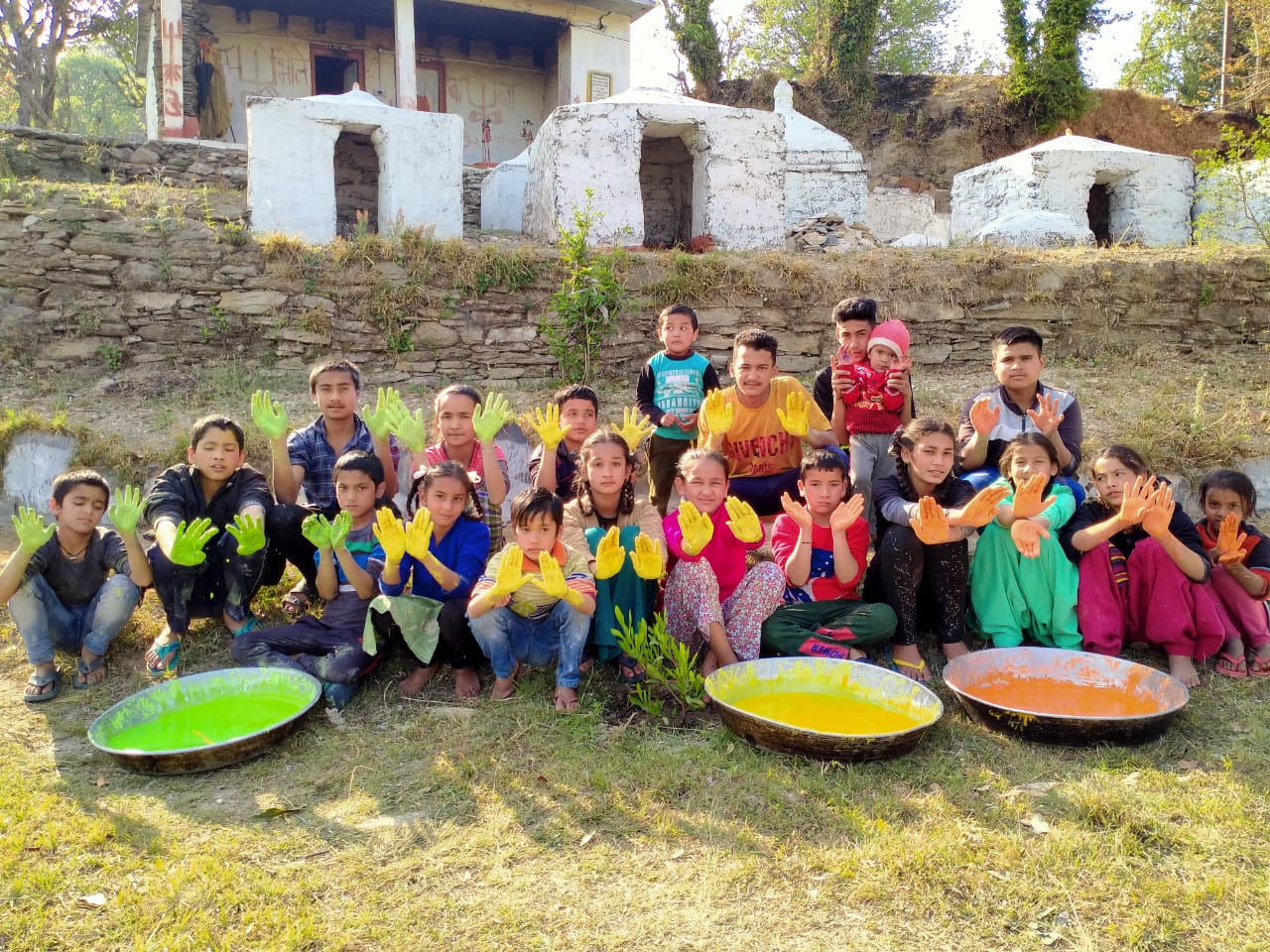 Organic colour celebration