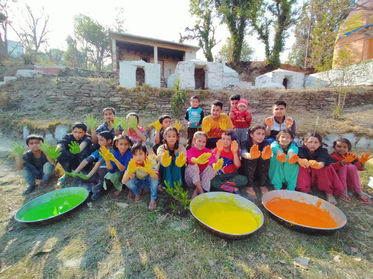 Organic colour celebration
